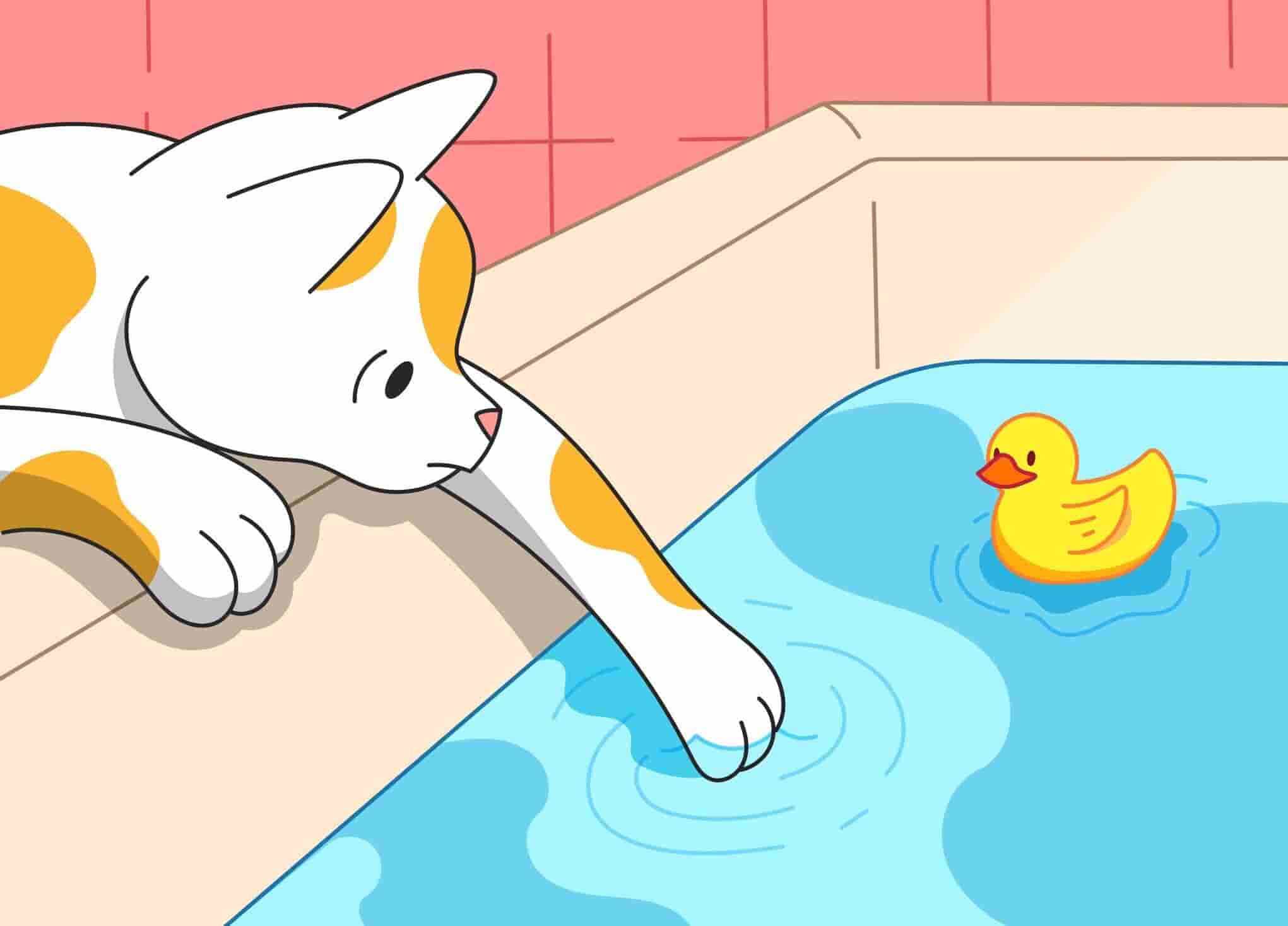 Почему кошки боятся воды? 4 причины, почему ваша кошка ее ненавидит