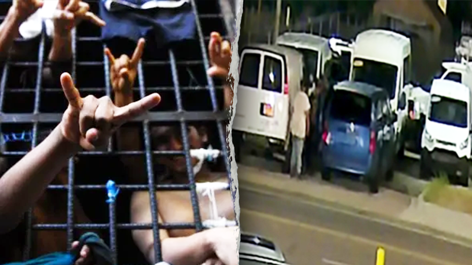 Новые обвинения против участников банды MS-13 в Мэриленде: насилие, убийства и преступные схемы