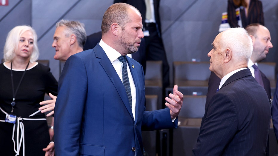 В Белгии зафиксированы подозрительные дроны над военной базой, возможна разведка