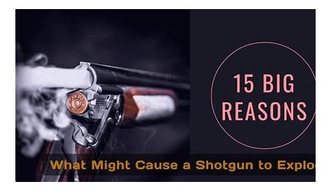 Что может привести к взрыву дробовика в проекте Reonmodel10botmejection