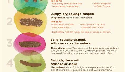 Всестороннее руководство по типам значений здоровья для дерьма Эта диаграмма определяет разные и что они означают