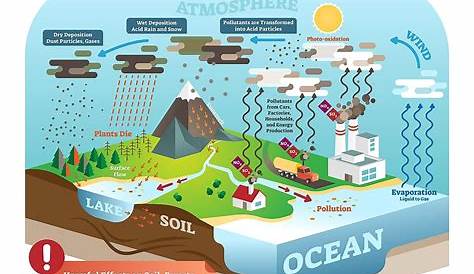 Что кислотный дождь делает с вашей кожей?