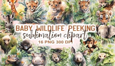 Игровые животные The Baby Wildlife