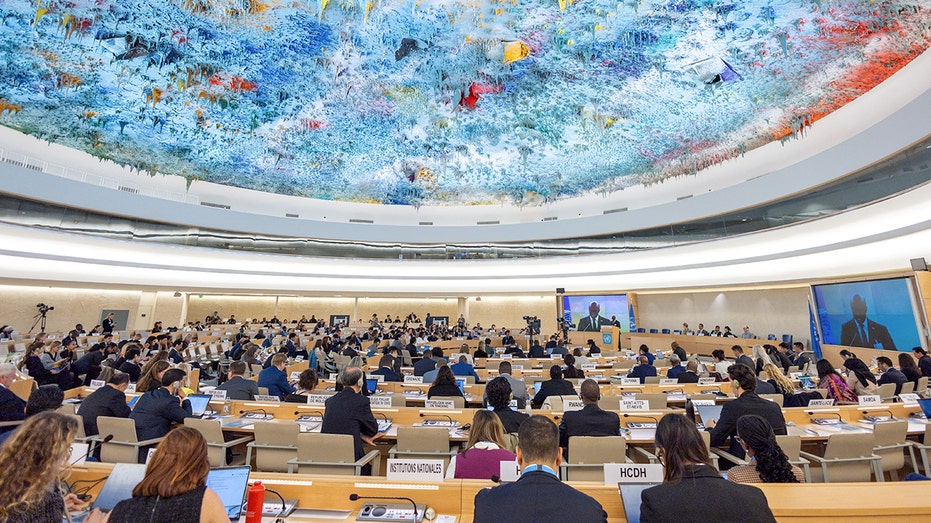 Инцидент на заседании UN Human Rights Council: критика США и последующее прерывание видео